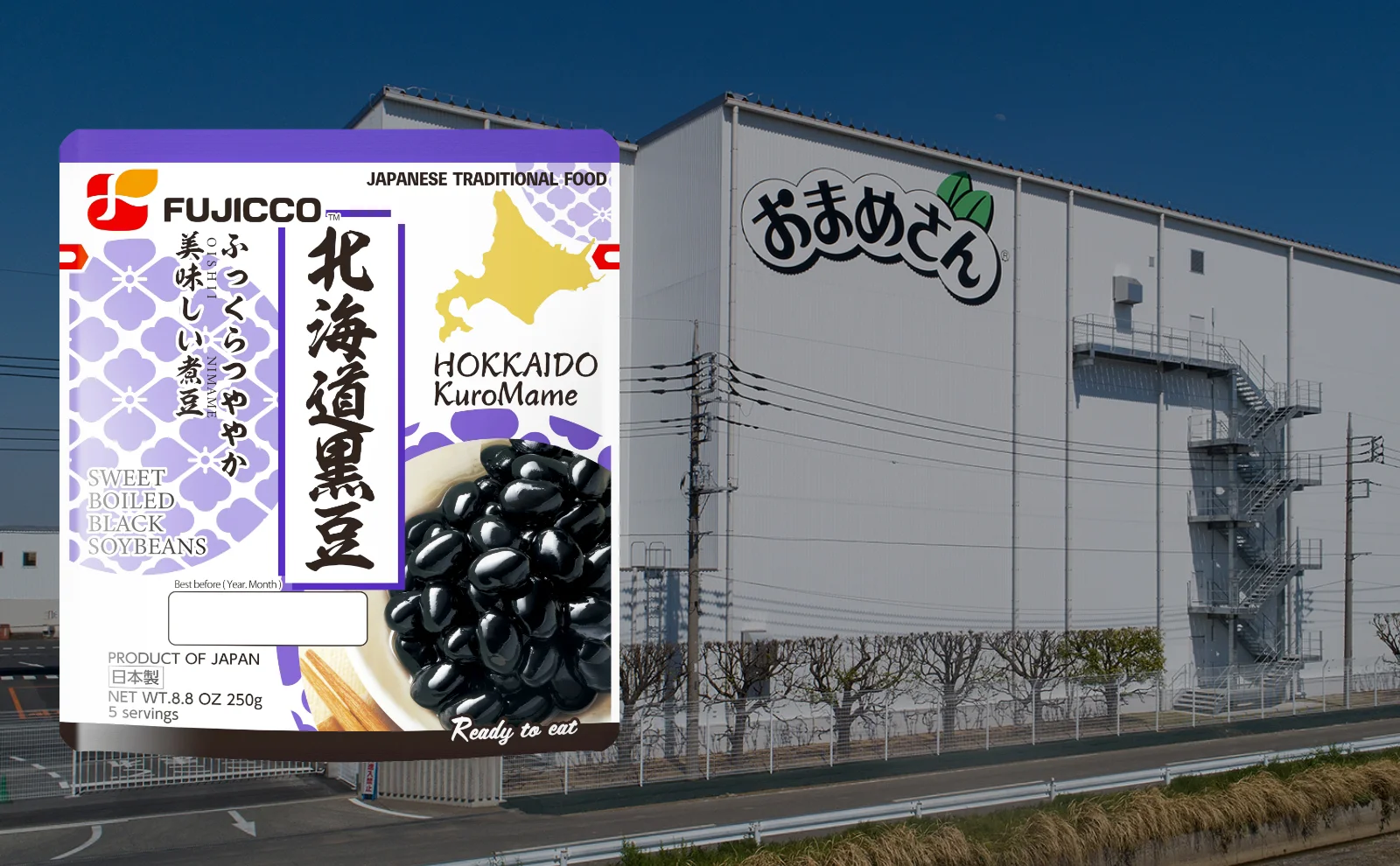 Sweet Boiled Black Soybeans